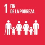 Home sdg e individual icons